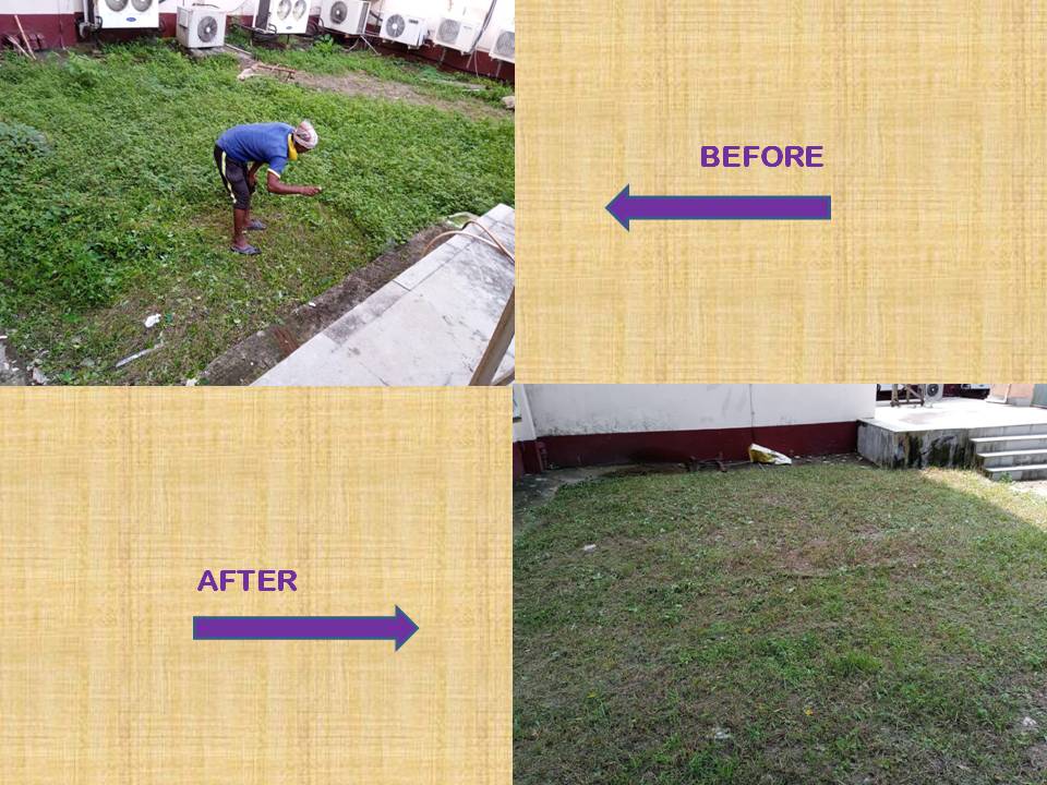 Day-6 Activities of Swachhata Hi Seva Special Campaign 3.0