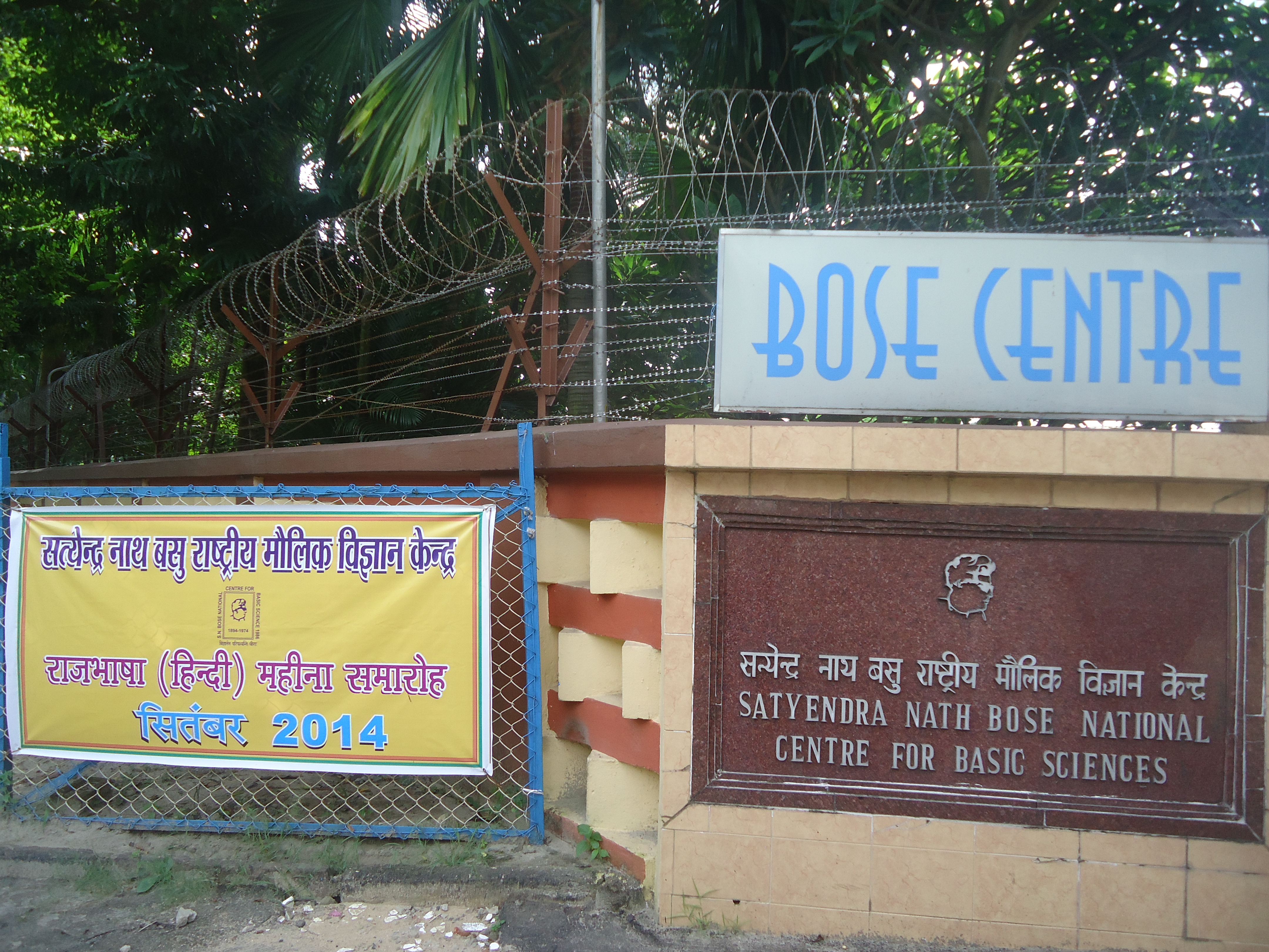 Hindi Month Celebration